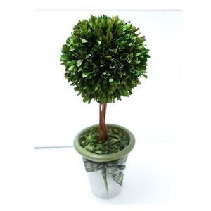 1 Sphere Topiary Home Plant Potted in a Clay Planter Wood trunks Decor 17 inch